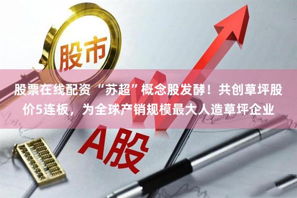 股票在线配资 “苏超”概念股发酵！共创草坪股价5连板，为全球产销规模最大人造草坪企业